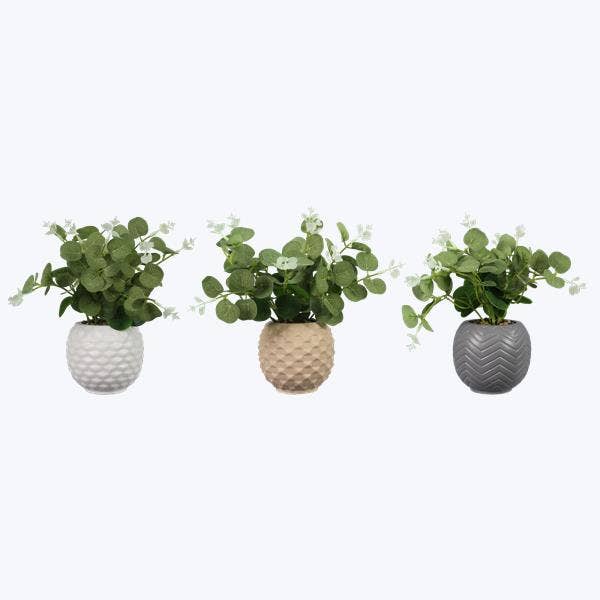 Ceramic Planter with Succulent