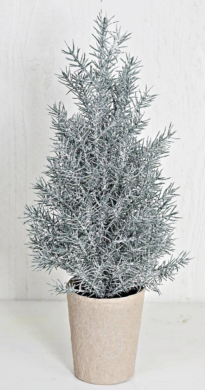 Snowy Rosemary Tree w. paper port