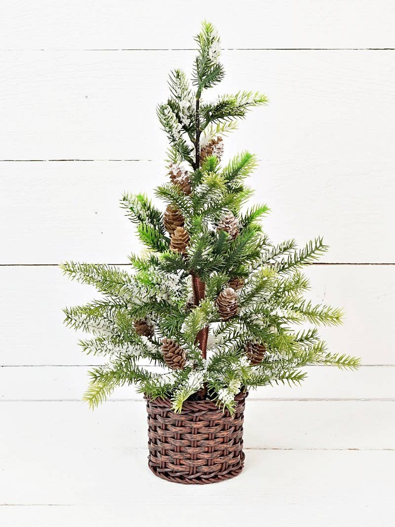 18in Snowy Cypress Tree w. Willow basket