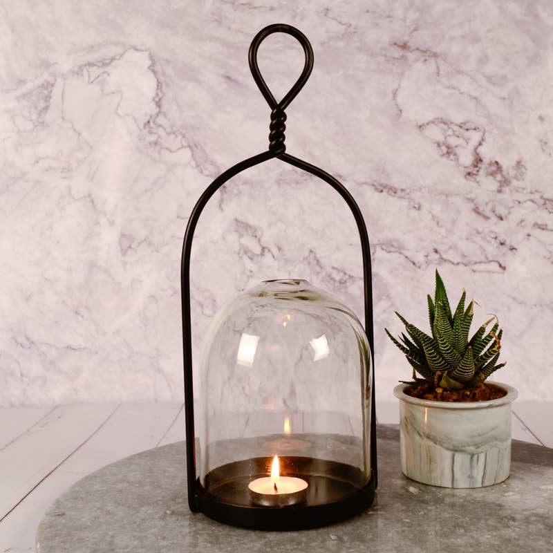 Scilla Lantern