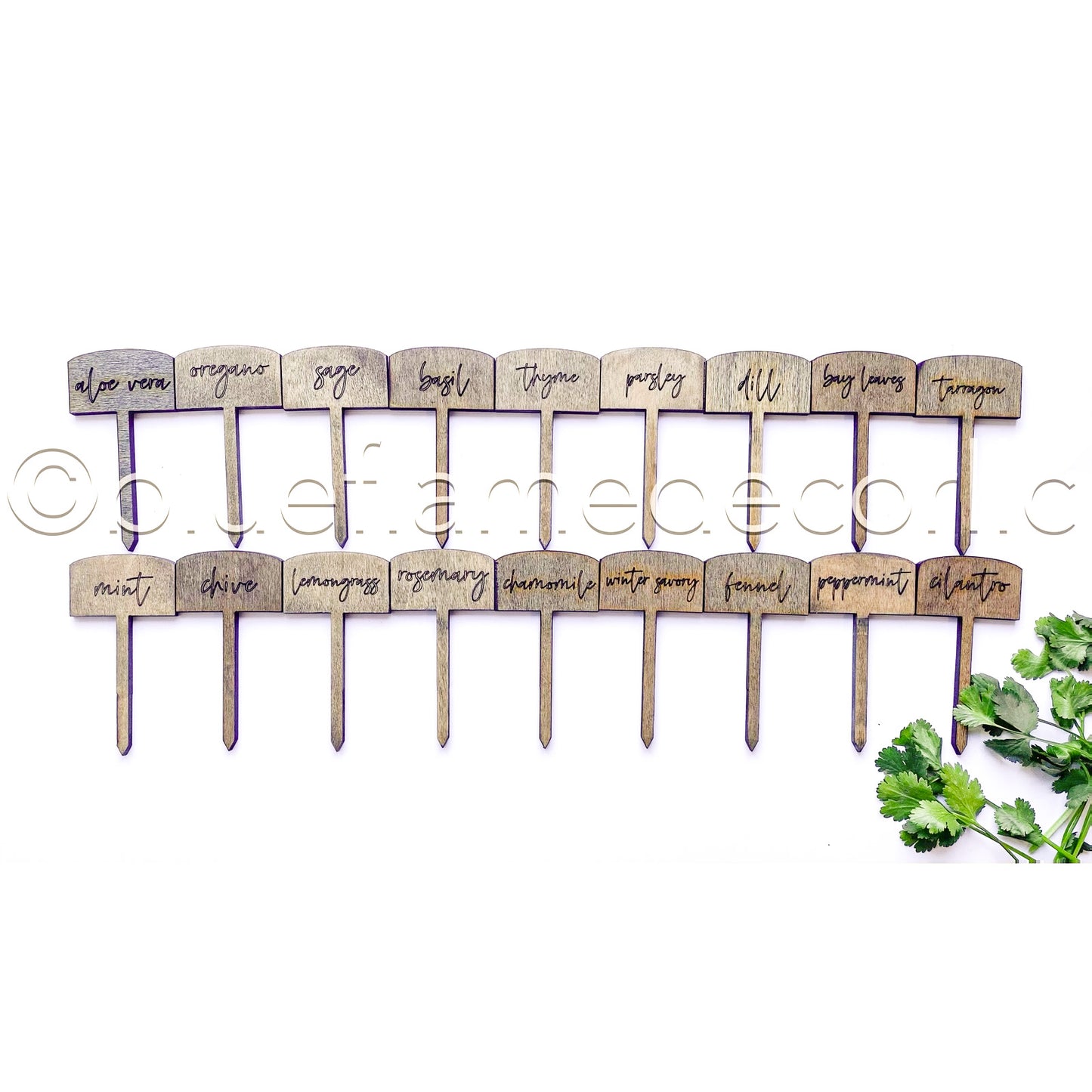 herb markers