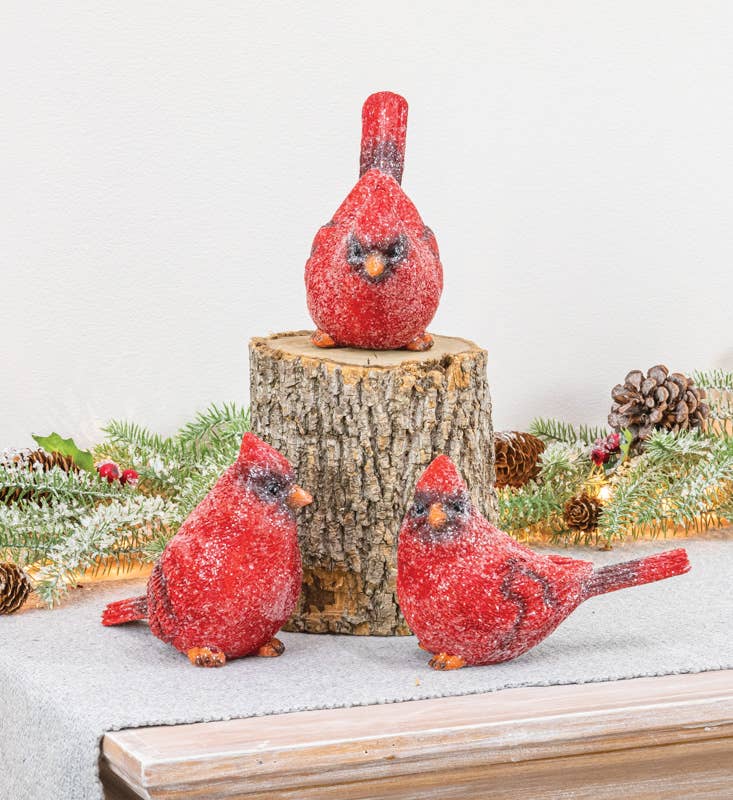 Glittery Red Cardinal