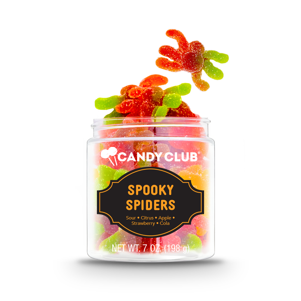 Spooky Spiders HALLOWEEN COLLECTION (ice packaging included)